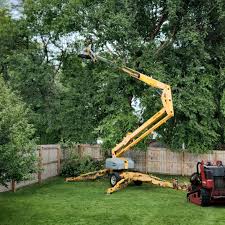 Lawn Maintenance Plans in Centre Hall, PA